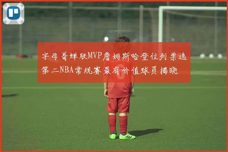 字母哥蝉联MVP詹姆斯哈登位列票选第二NBA常规赛最有价值球员揭晓