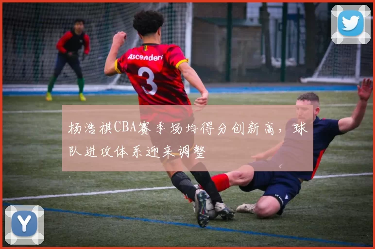 杨浩祺CBA赛季场均得分创新高，球队进攻体系迎来调整