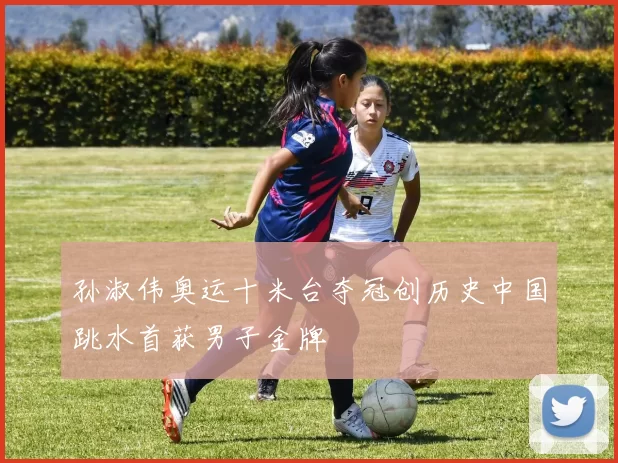 孙淑伟奥运十米台夺冠创历史中国跳水首获男子金牌